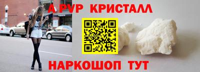 амф Гусев