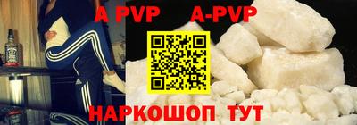 амф Гусев