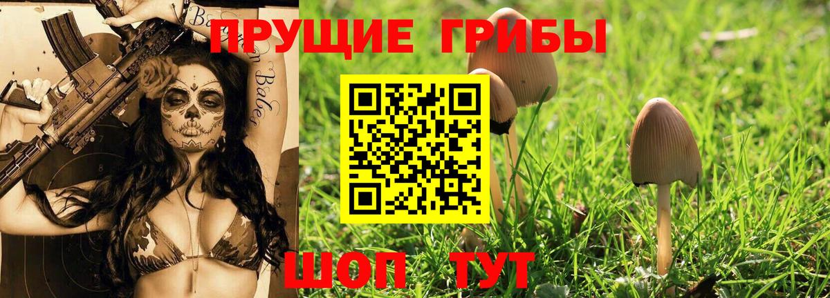 Георгиевск  Галлюциногенные грибы мицелий  Вход с VPN 