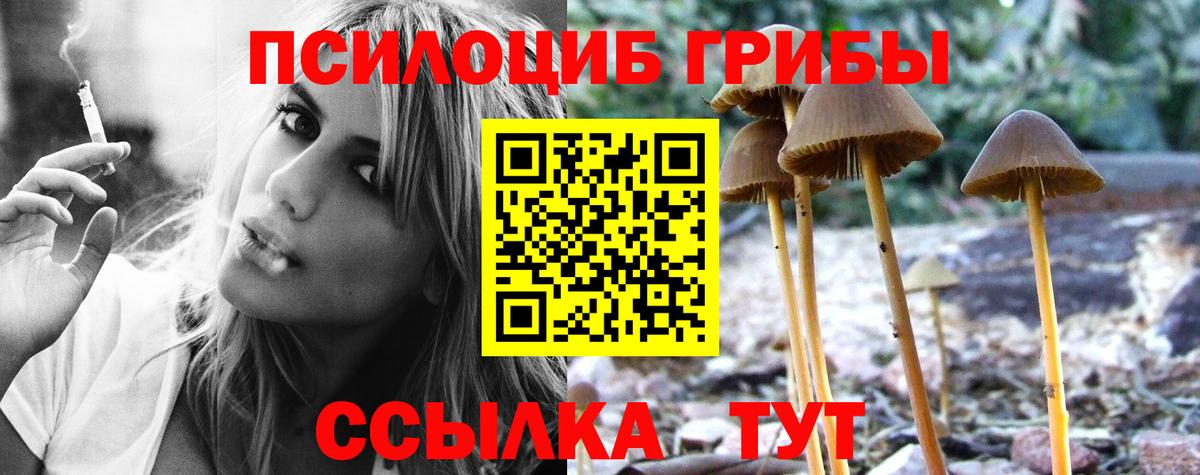 Псилоцибиновые грибы прущие грибы Георгиевск